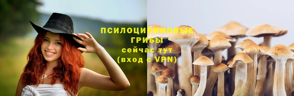 каннабис Алексеевка