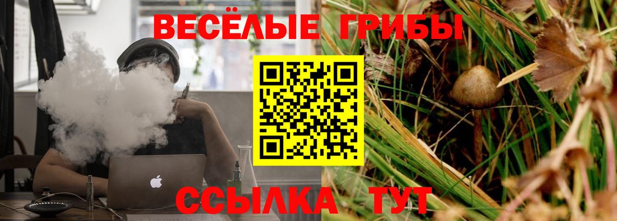 Галлюциногенные грибы мицелий  Вход с VPN  дарнет шоп  Краснокамск 